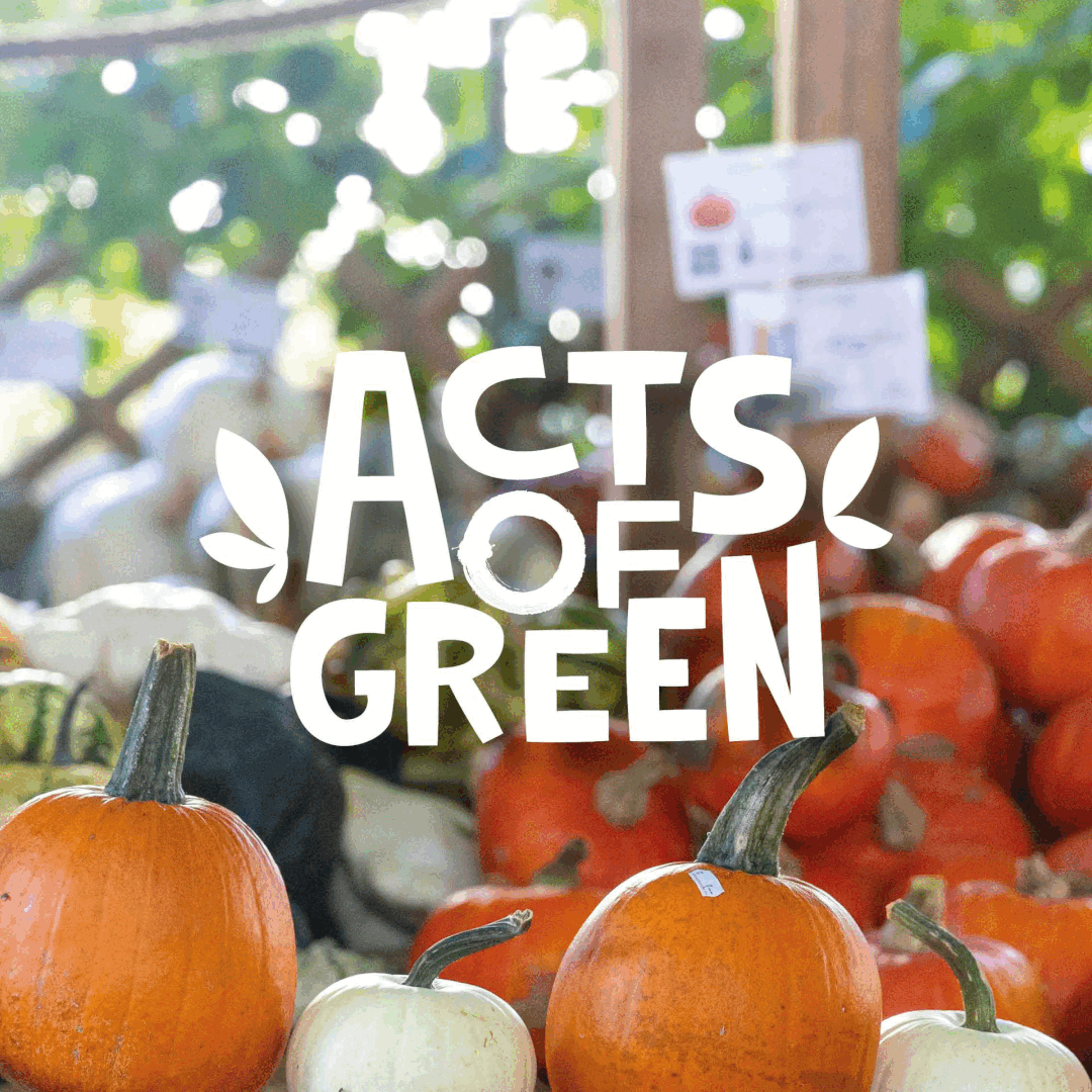 alt visuel custom AoG Kürbissaison